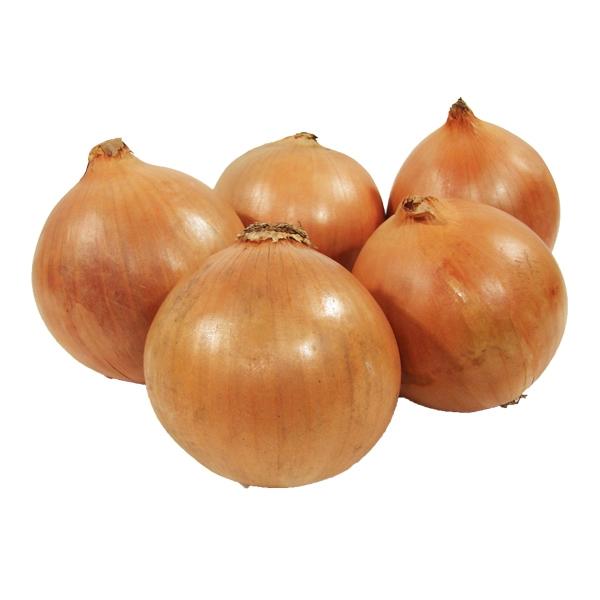 CEBOLLA x kg