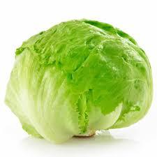 LECHUGA REPOLLADA x kg