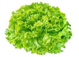 LECHUGA DE HOJA x kg