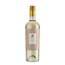 VINO LA CELIA x750ml RESERVA PINOT GRIGIO