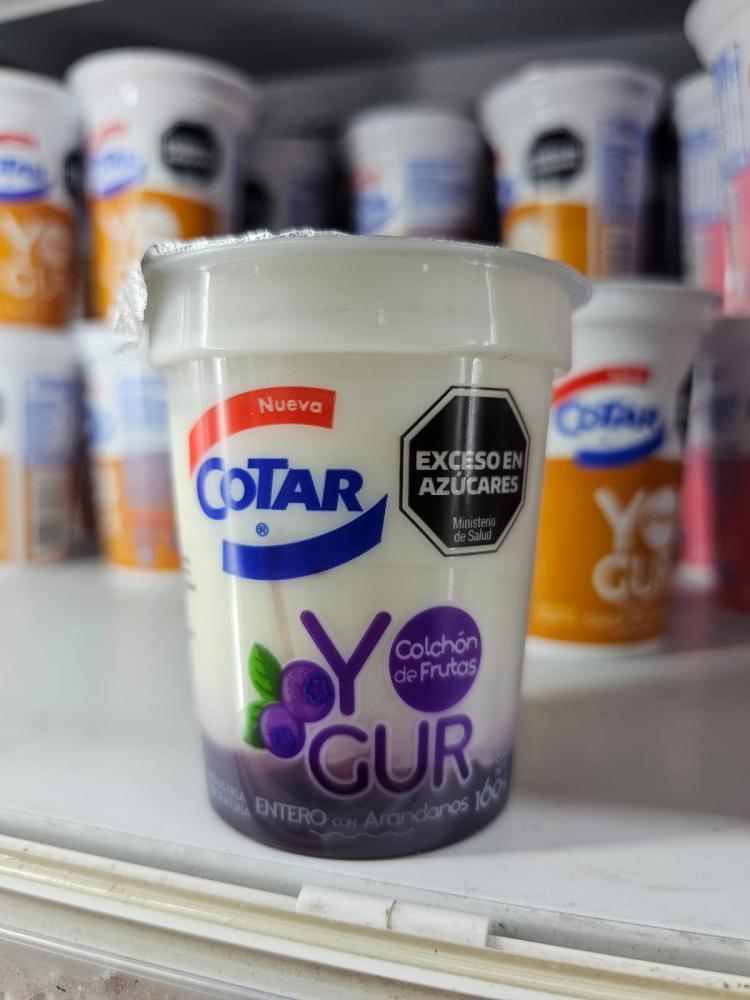 YOGUR COTAR C/COLCHON ARANDANOS x160g