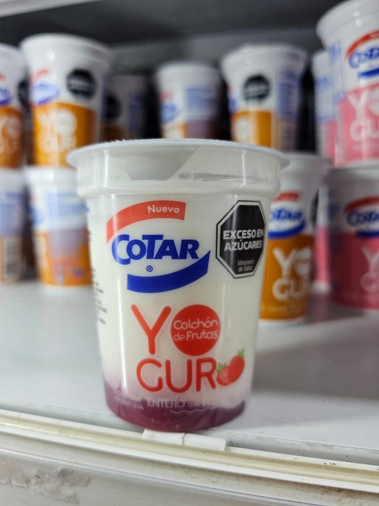 YOGUR COTAR C/COLCHON FRUTILLA x160g